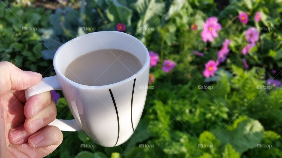 coffee in the garden