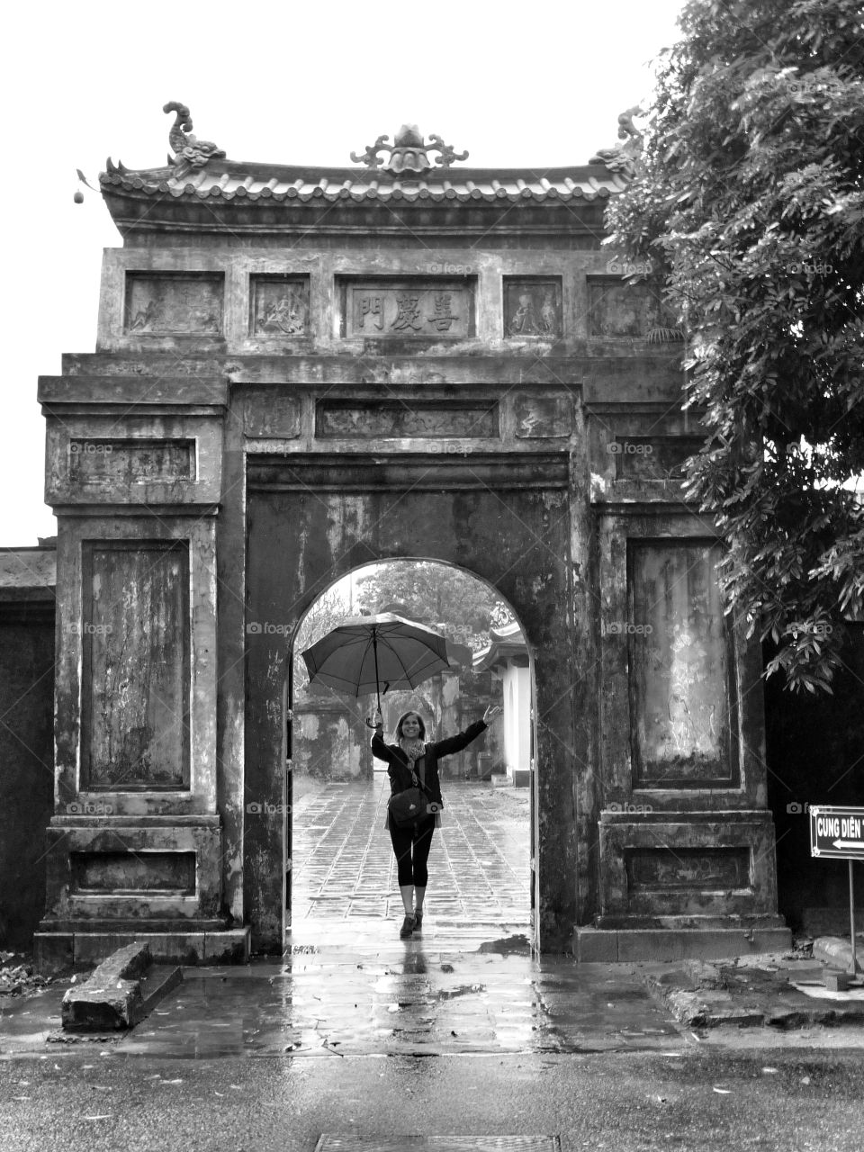 Rear view of woman looking at Vineyard