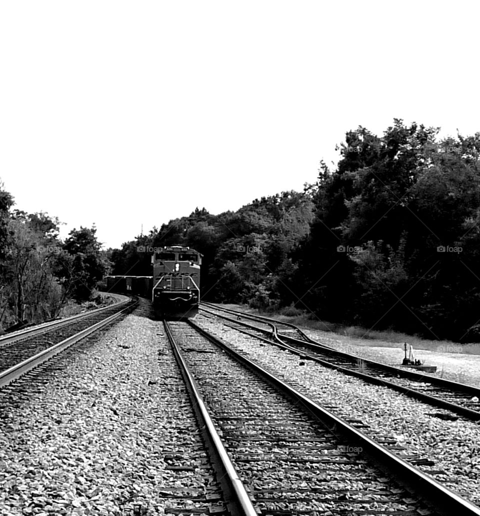 Georgia train