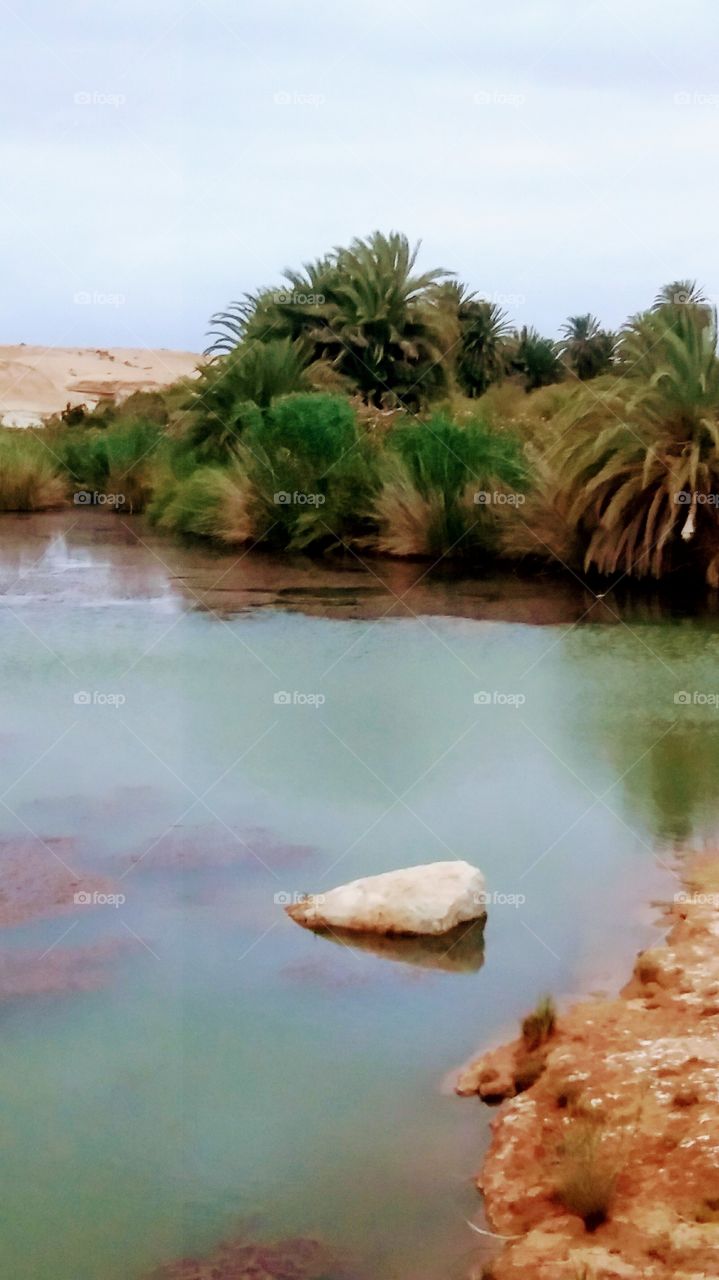 a view of Wargnoun river in Oued Noun region,South of Morocco