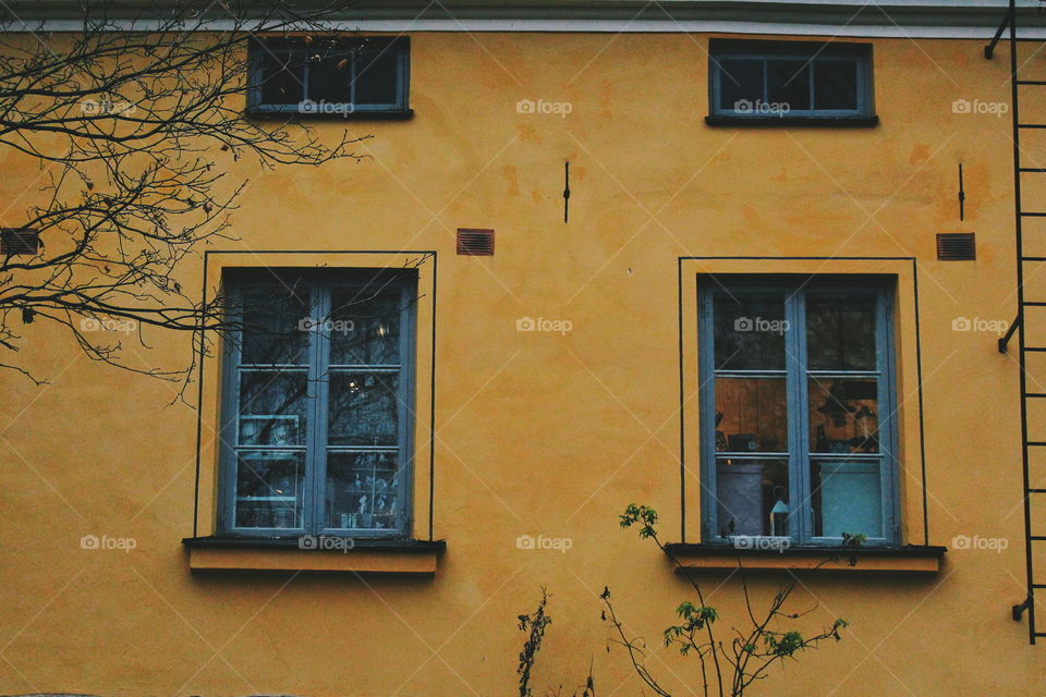 Windows around the world