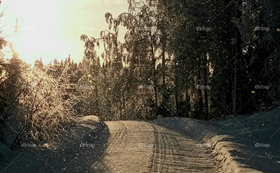 winter of wonderland