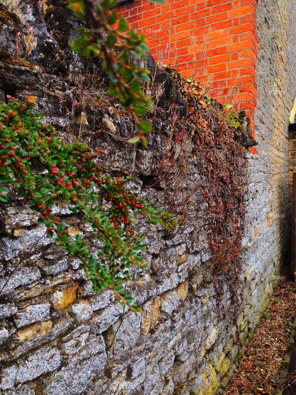 wall barn old brick by hannahdagogo