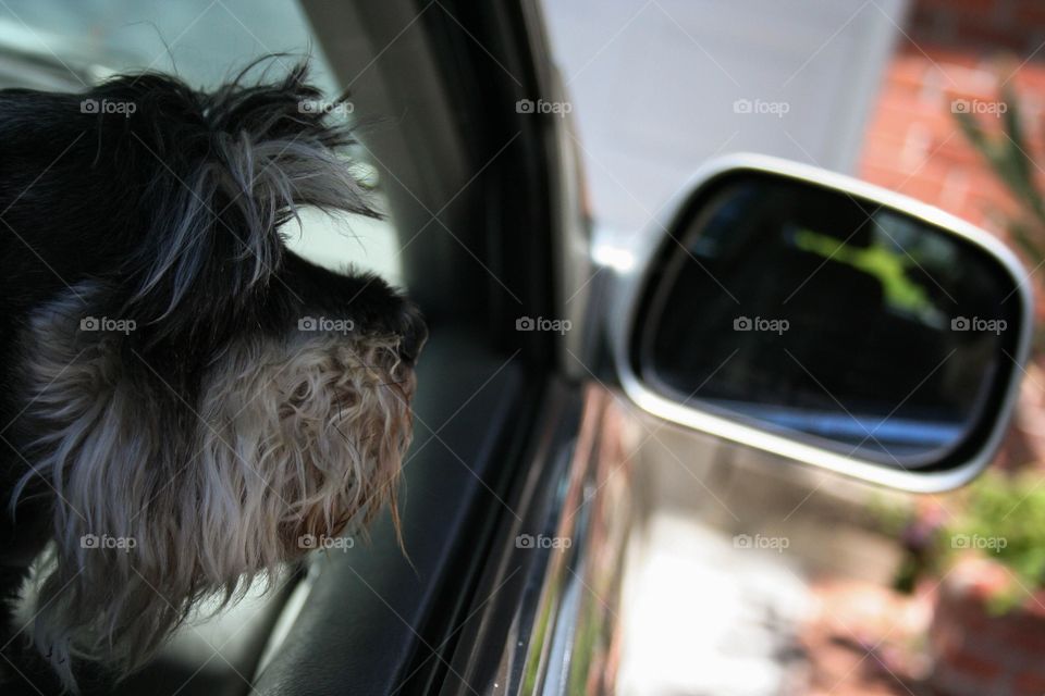 Side mirror 