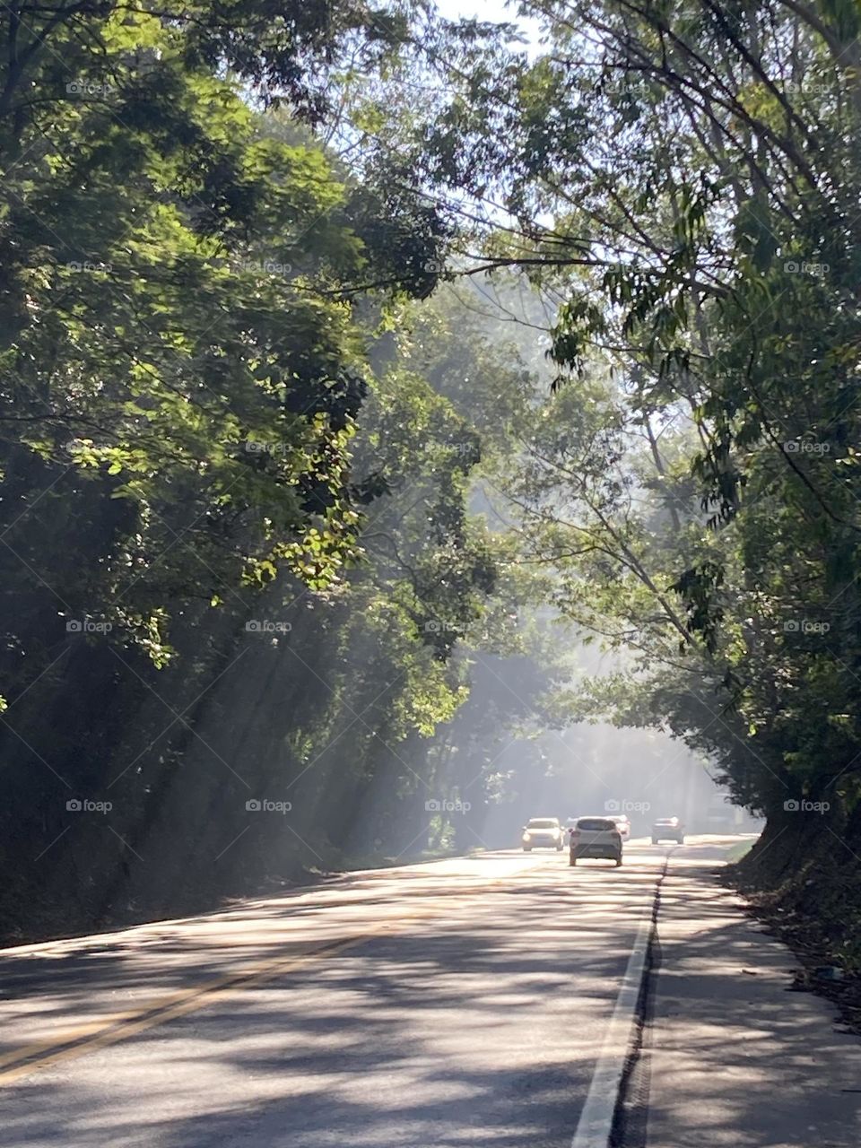 O brilho do sol raiando no caminho!

Inspira ou não?

📸 #FOTOGRAFIAéNOSSOhobby
#amanhecer #morning #sun #nature #horizonte #fotografia #paisagem #landscapes #inspiração #mobgrafi