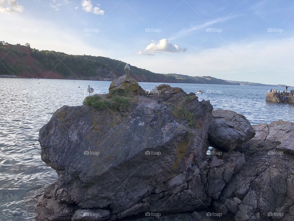 The three seagulls off Babbacombe Beach in Torbay, UK