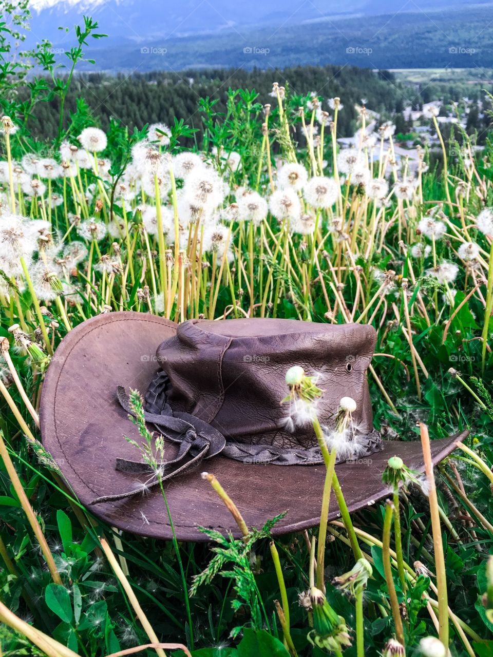 Leather cowboy hat in alpine meadow with view of Canada's beautiful snowy Rocky Mountains near golden British Columbia 