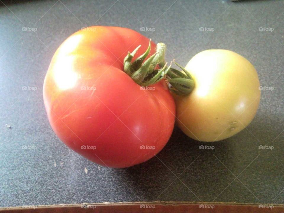 Tomato and Tomato