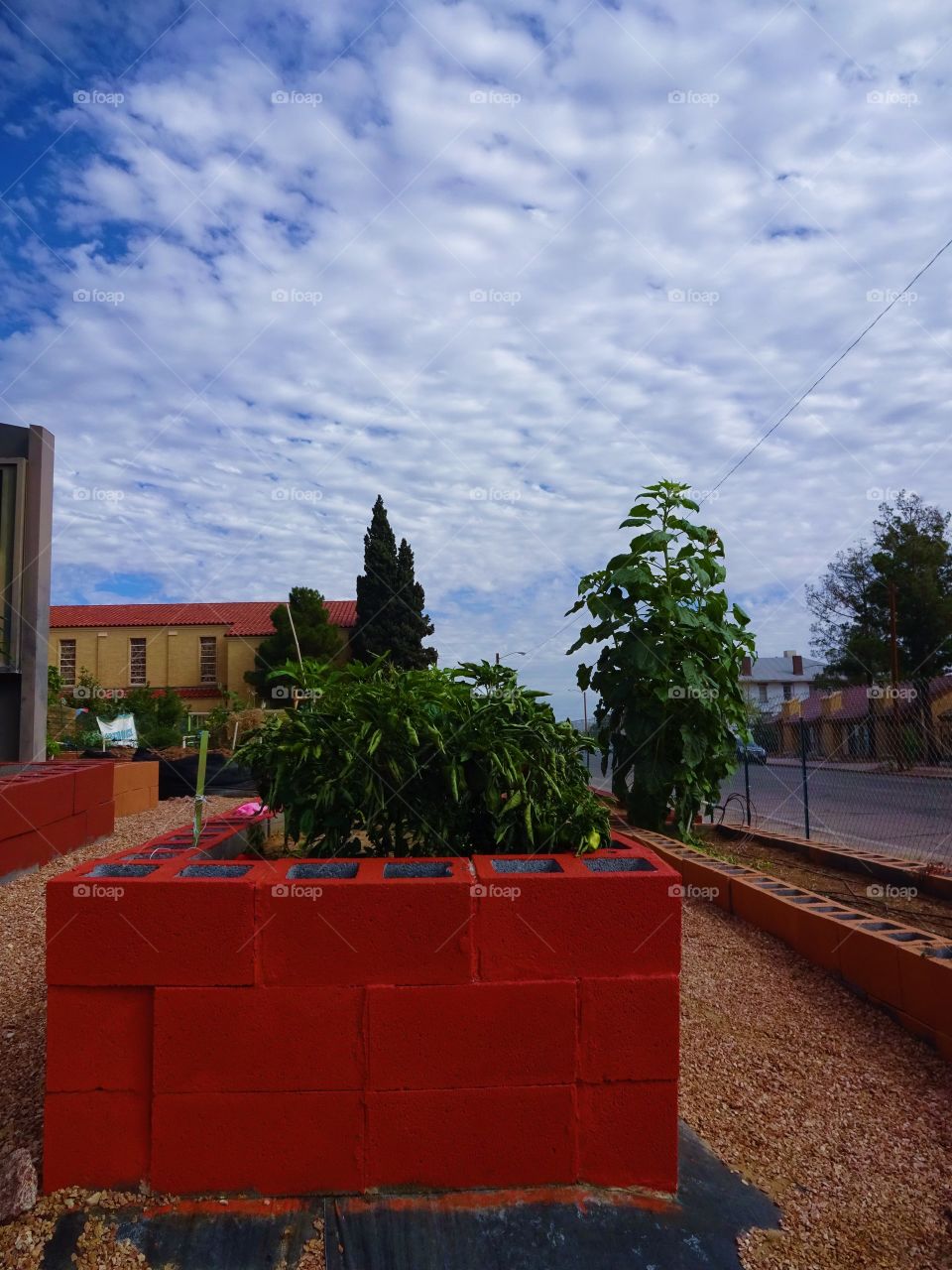 Community garden