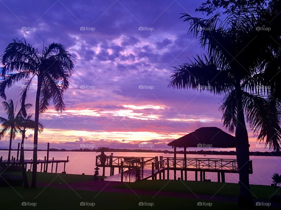 Purple sunset 