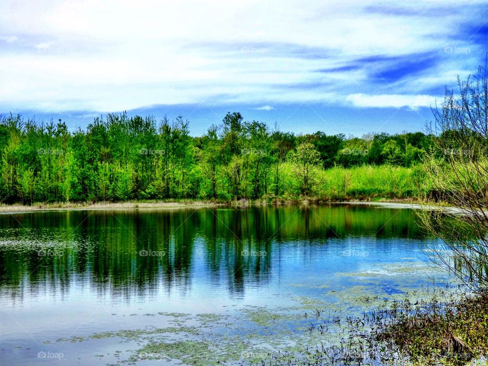 Spring nature preserve lake. 