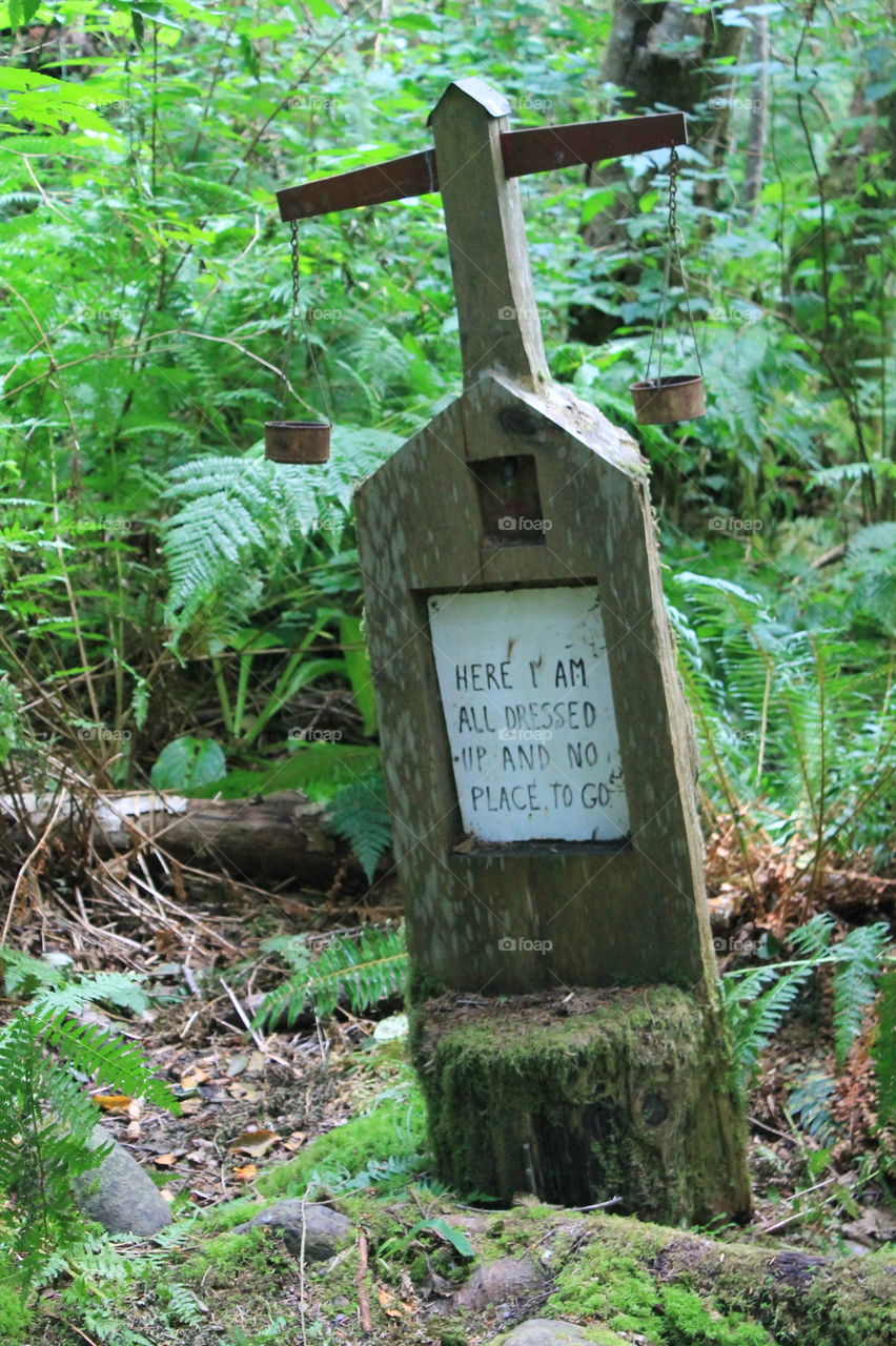 “Here I am, all dressed up and no where to go! Its not the usual saying on a grave marker but it is one of the funny displays in this playful west coast park!