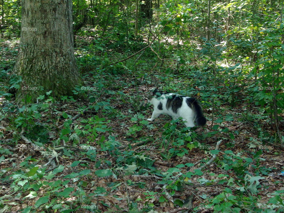 Dude in the woods