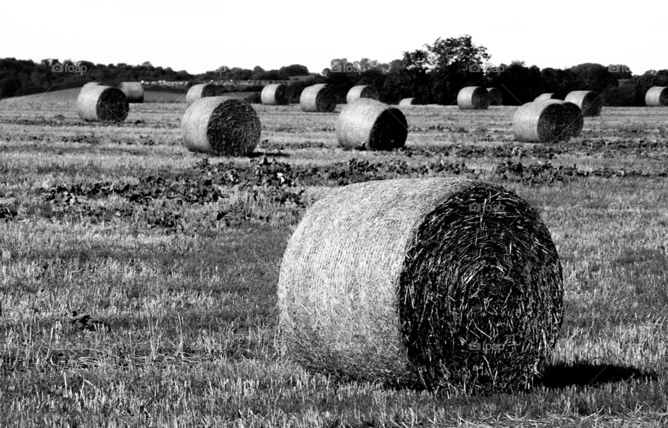 hay circles in black and white.