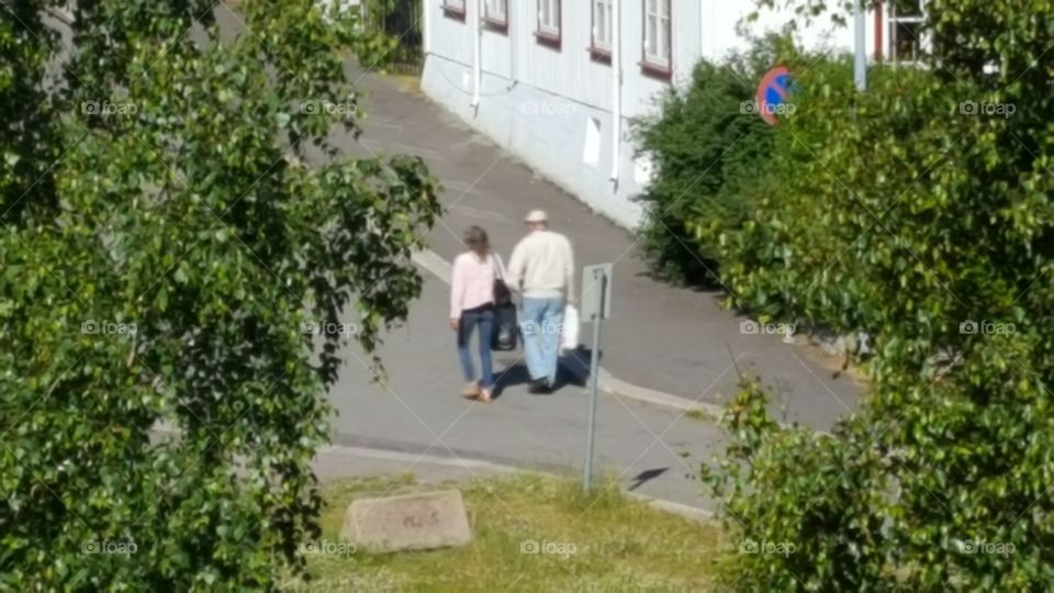 Road, Tree, Garden, Flora, Flower