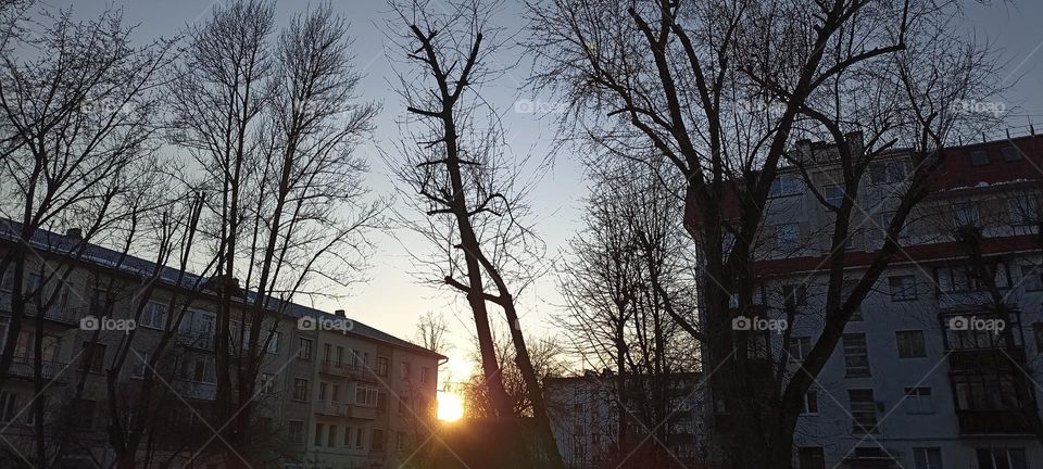 sunset and houses street view spring time