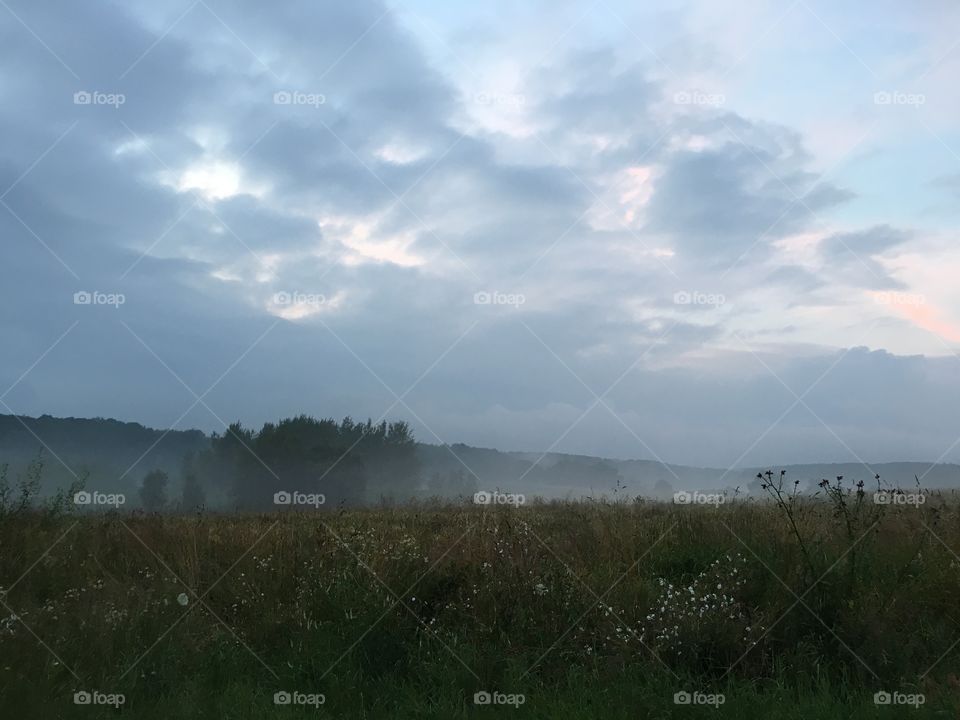 Evening mist near Smierdnica, Poland