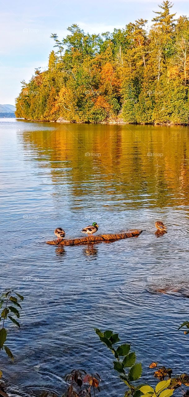 Adirondack splendor!
