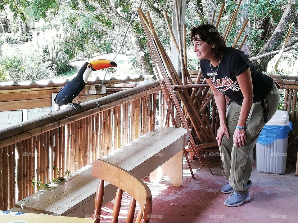 woman try to go close up tucan