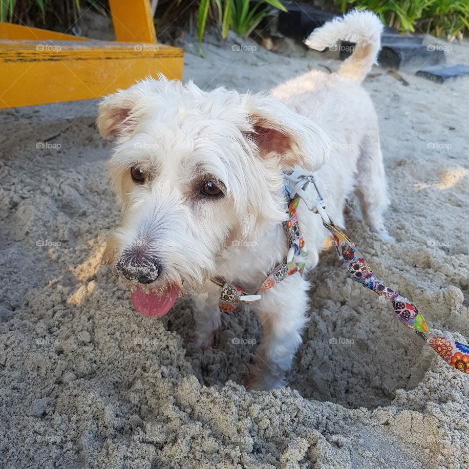 Brincando na areia