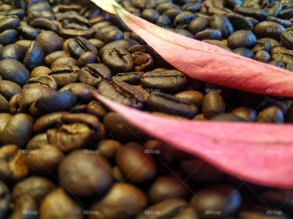 coffee beans