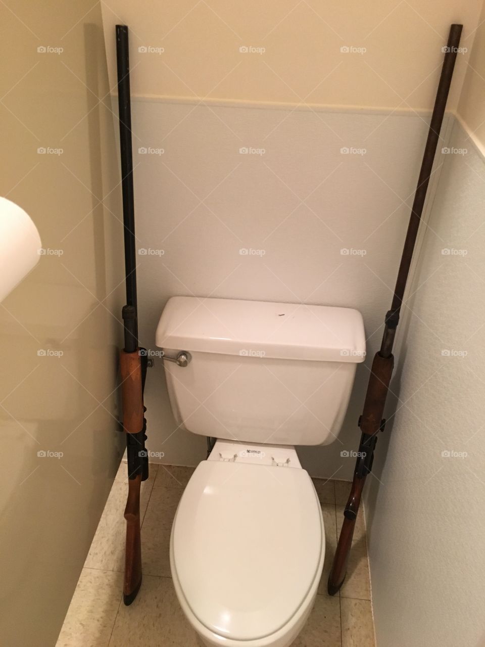 Toilet with shot guns