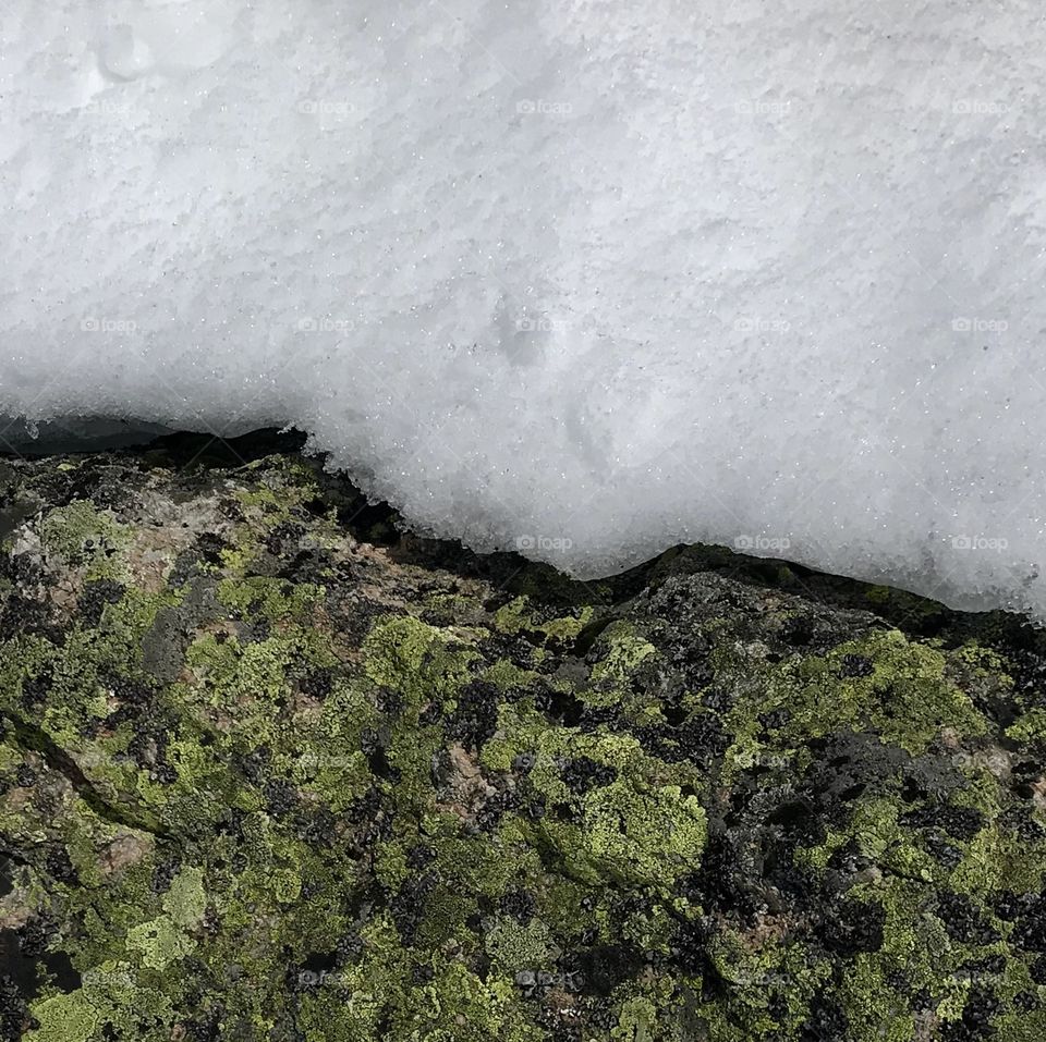 Wiler Snow and Stones 