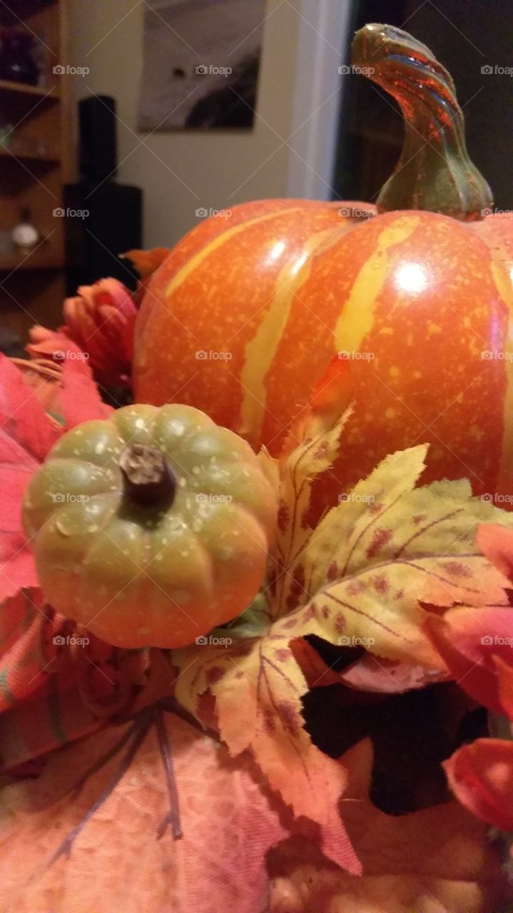 fall pumpkin's