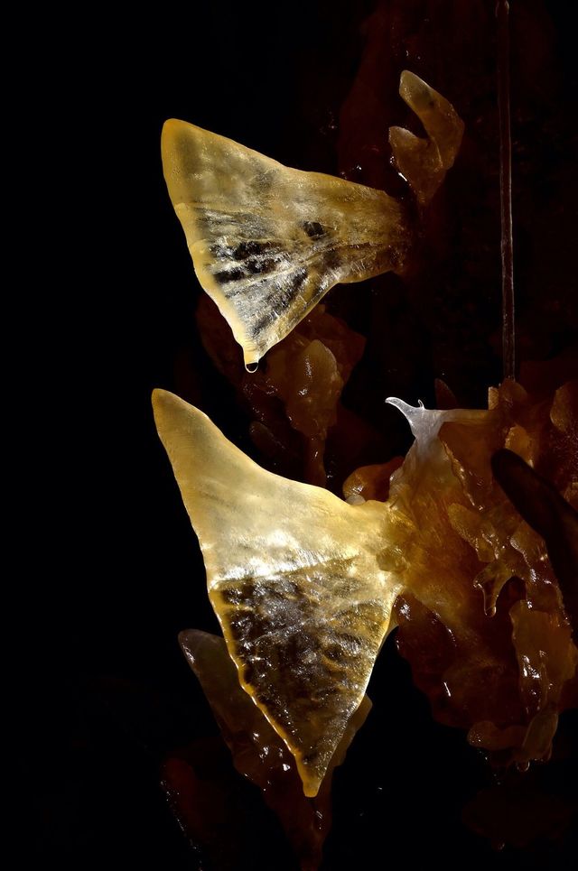 Cave2