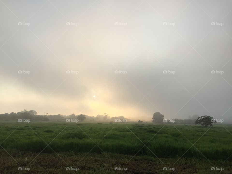 Landscape, Fog, Sunset, Sky, Dawn