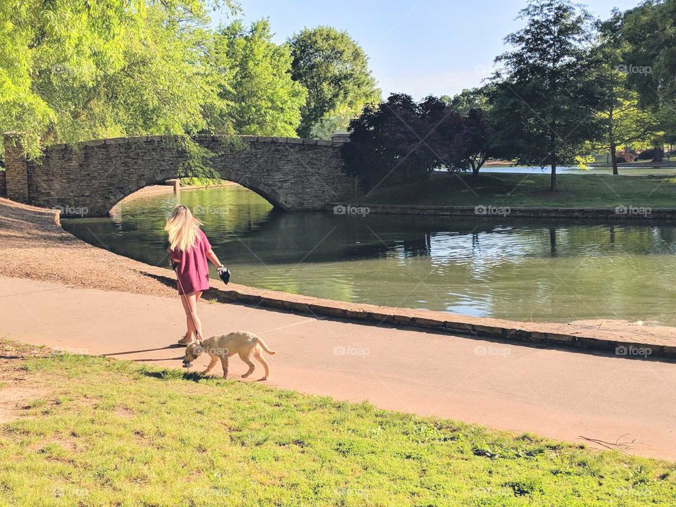 evening walk with dog