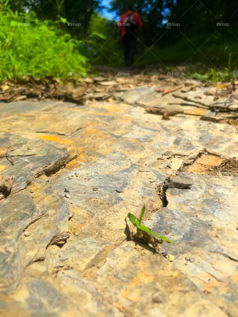 Man walking on rocky trail. 