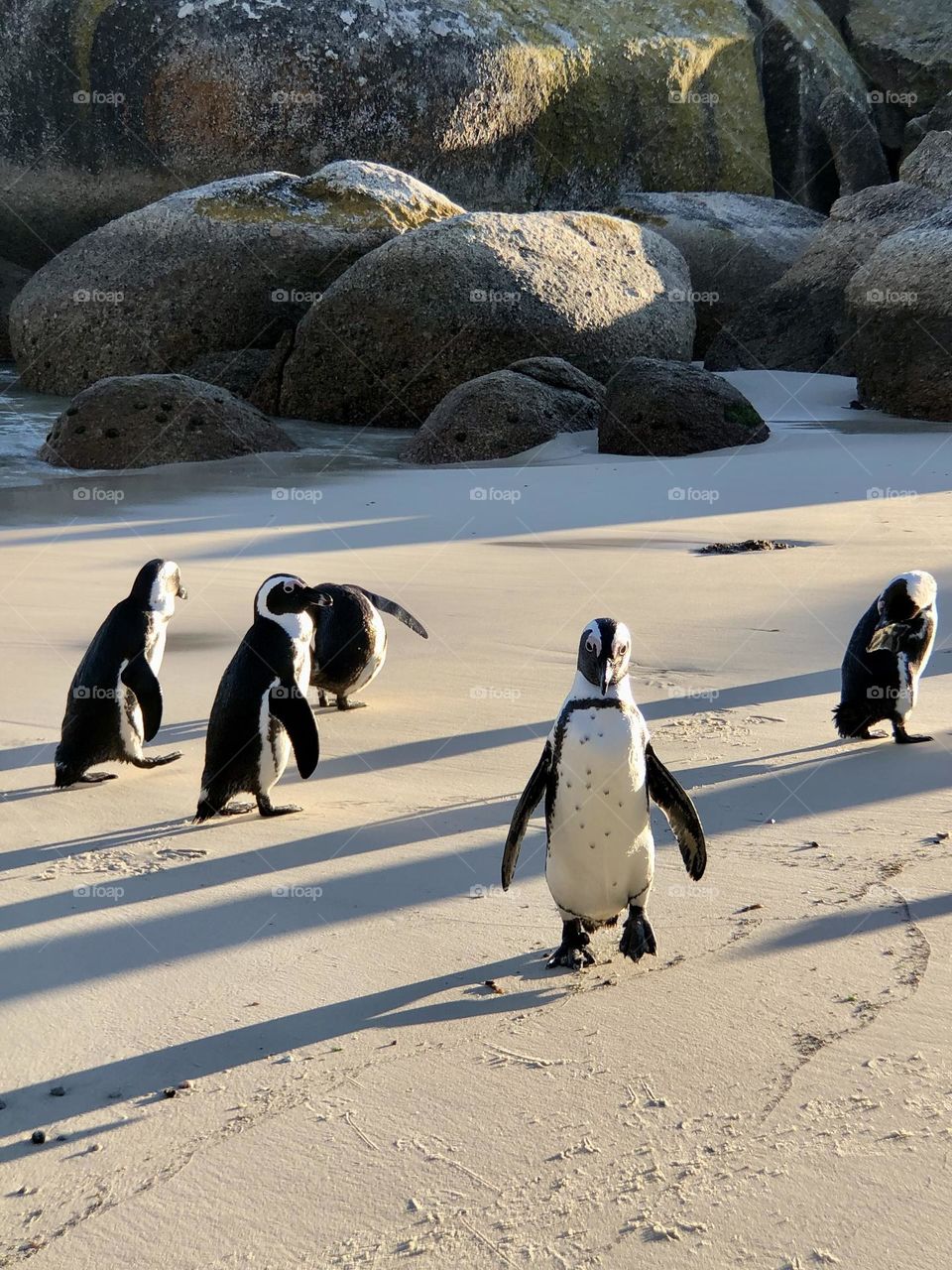 You’re going the wrong way!