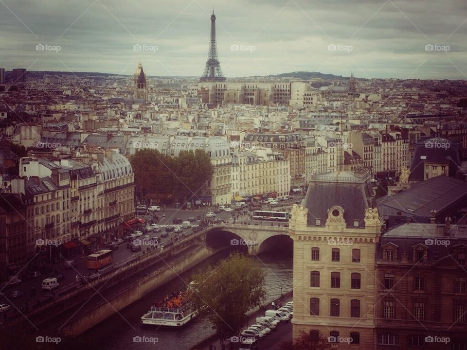 View from Notre Dame