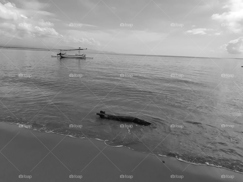 Monochrome style of a floating trunk and a boat