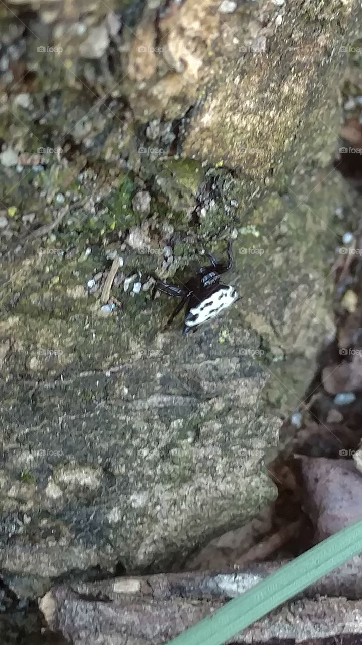 Nature, Stone, Outdoors, Rock, No Person