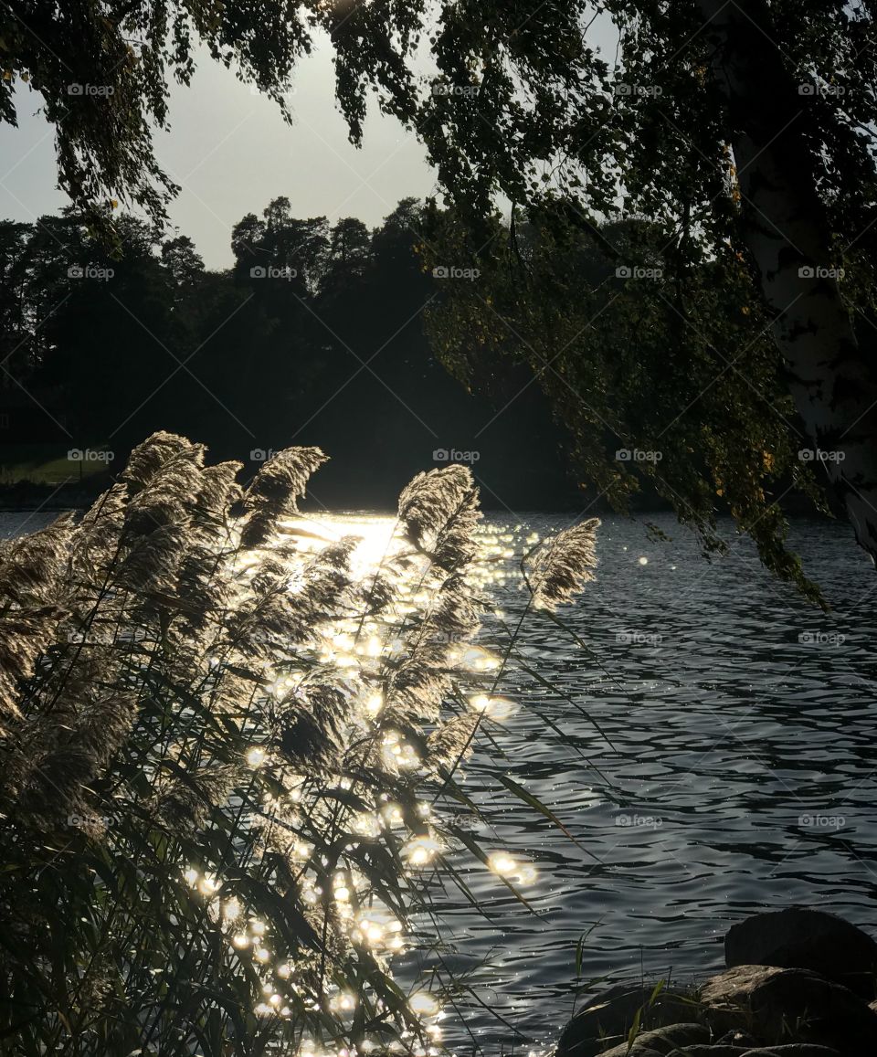 Water and sun