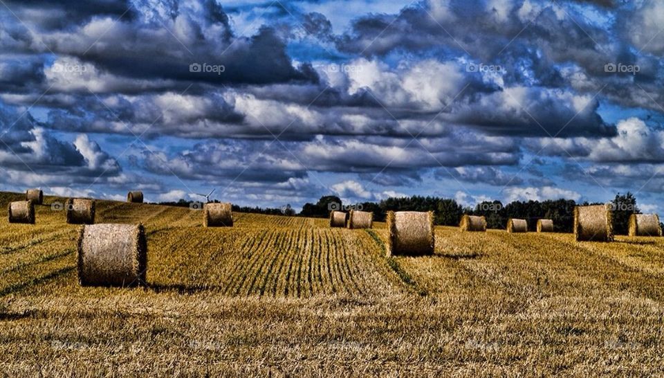 landscape sky green nature by cekari