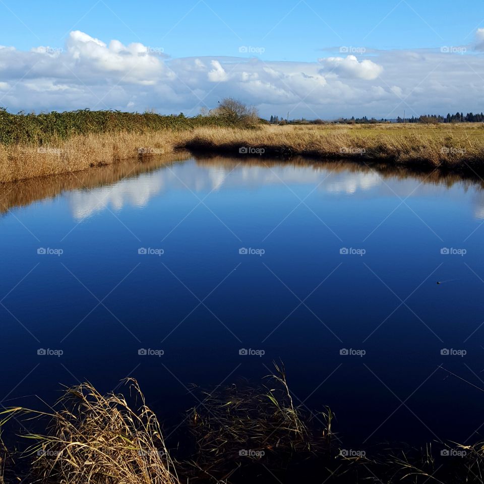 blue pond with reflection