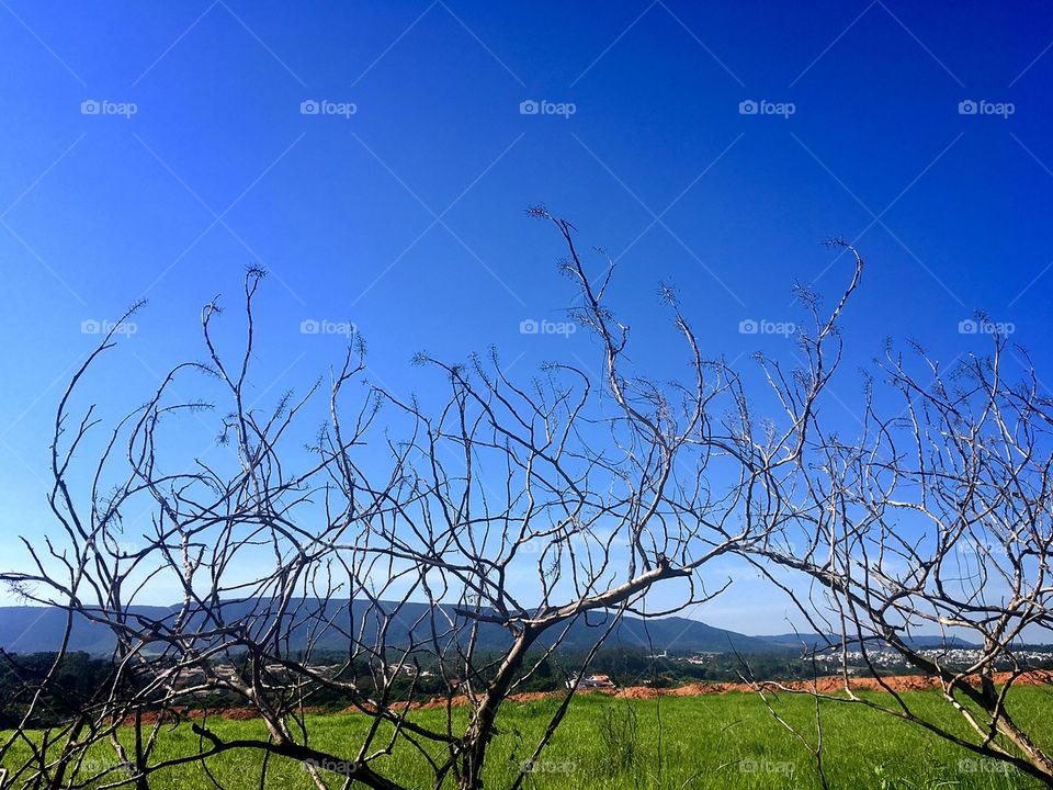 A #Serra da Ermida vista através dos galhos secos. Quanto verde da #natureza e quanto azul infinito do #céu!
📸
#FotografiaÉnossoHobby
#paisagem #landscape #photography 