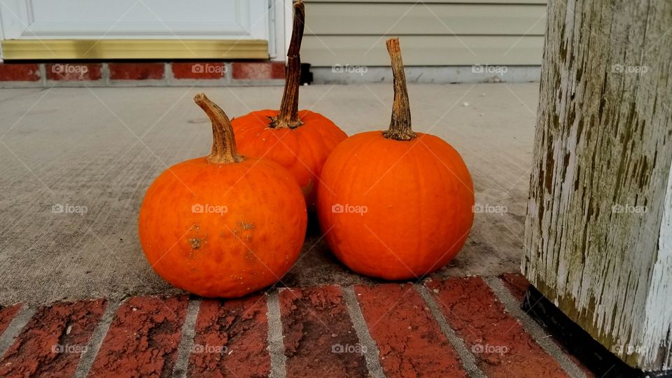 Bright pumpkins