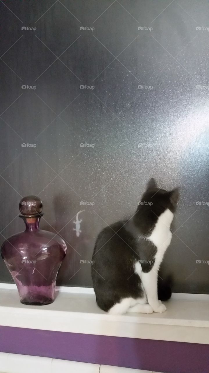 Through the window glass 