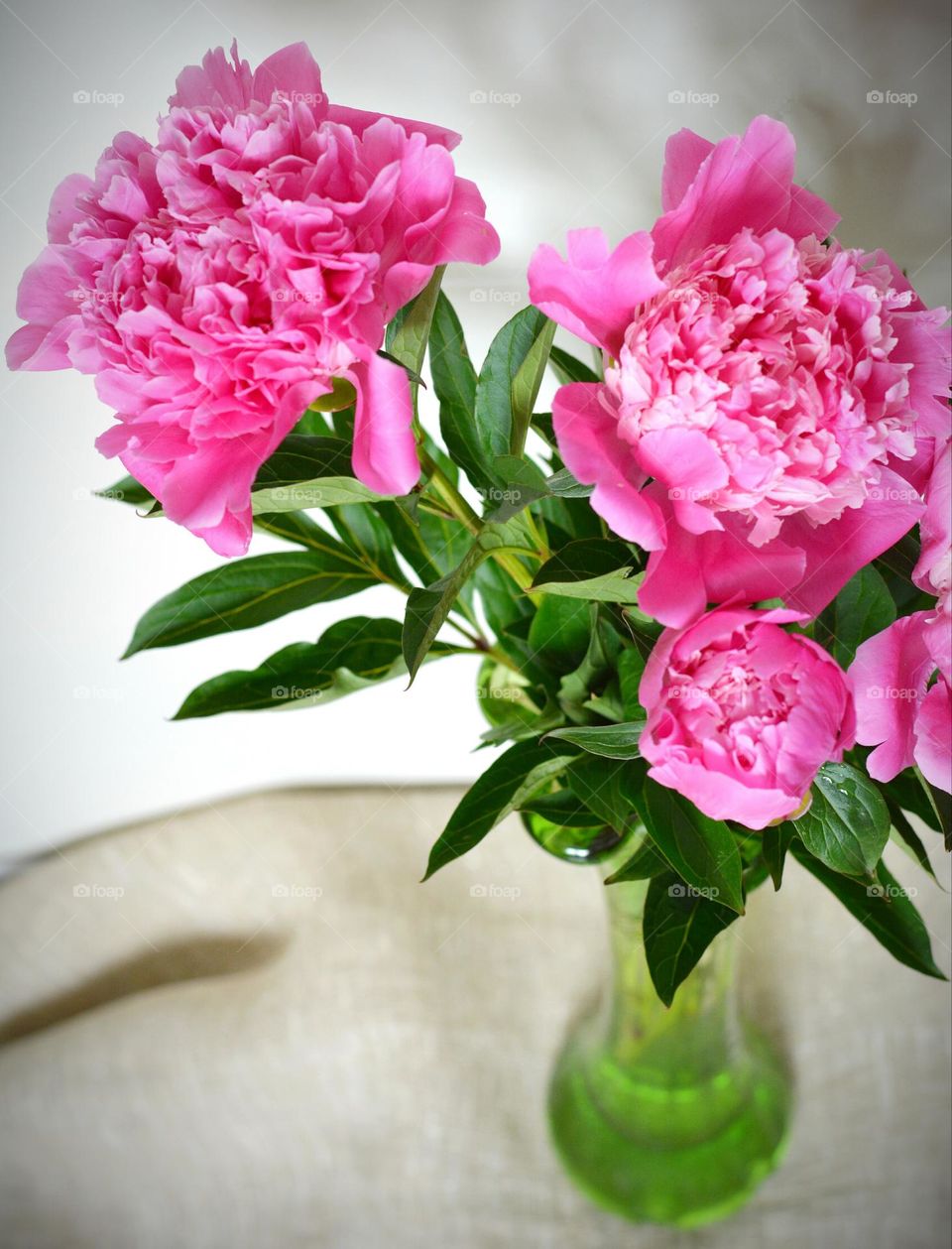 pink flowers in vase