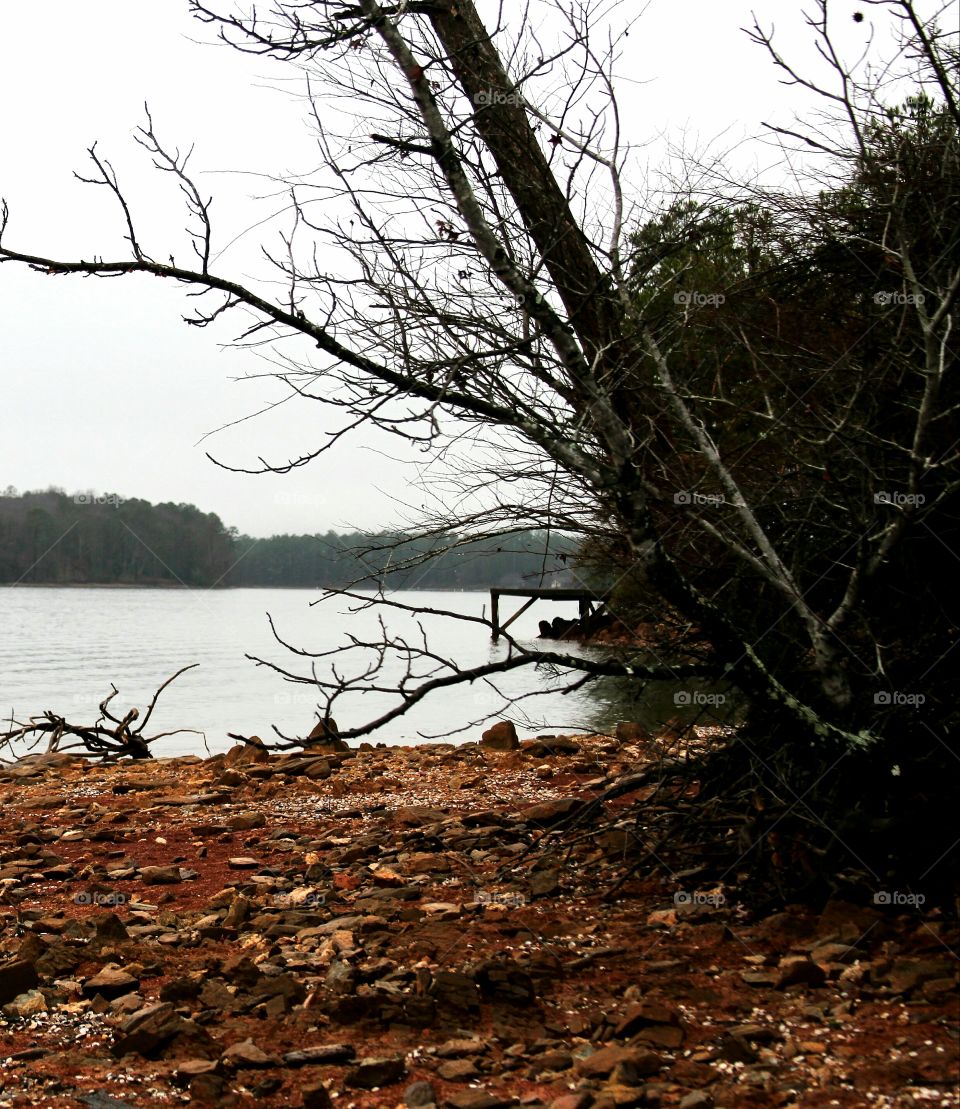 lake shore on a rainy day.