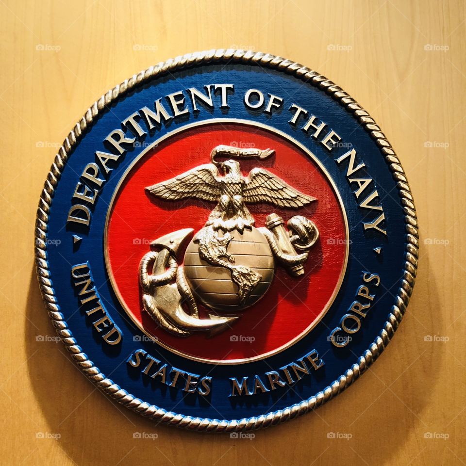 Department of the Nave United States Marine Corps Plaque 