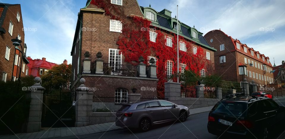 A house in Lerkstan, Autumn.