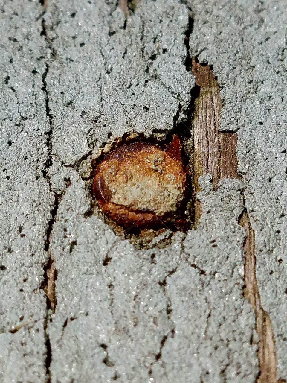 Rusty old nail head, old deck paint