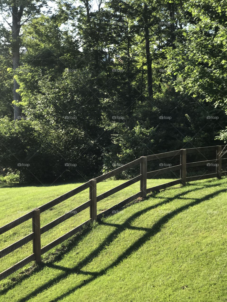 Fence row with symmetrical shadow. 