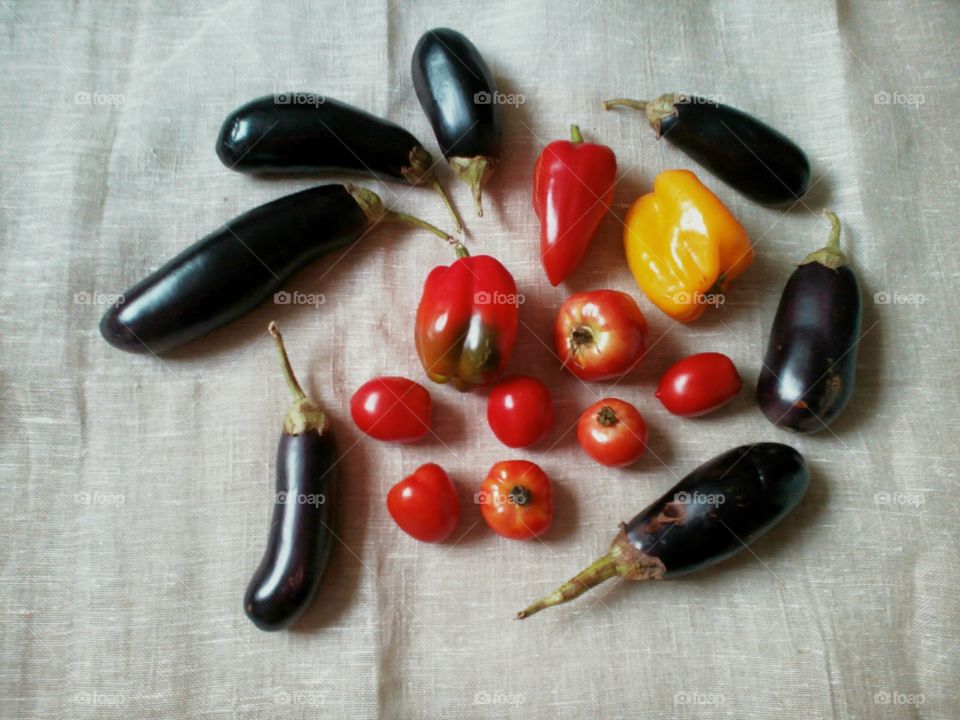 vegetables harvest