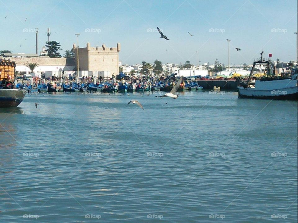 Beautiful view of the harbor.